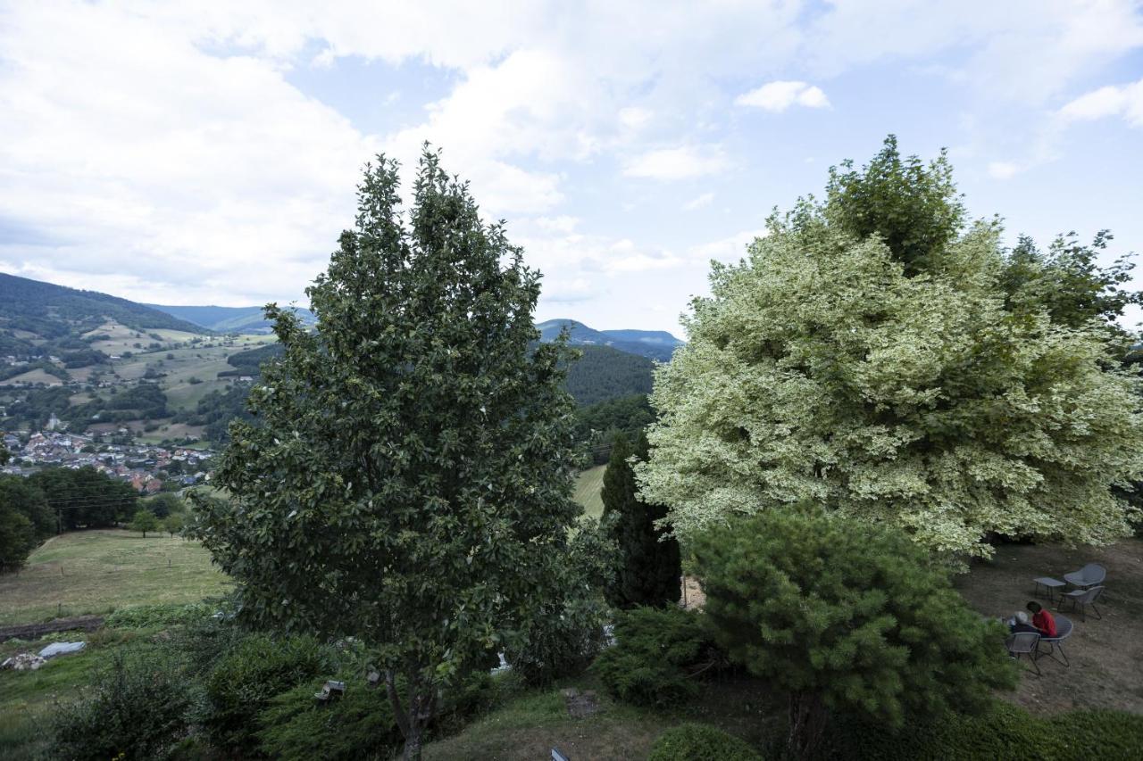 Hotel Restaurant Les Alisiers Lapoutroie Zewnętrze zdjęcie